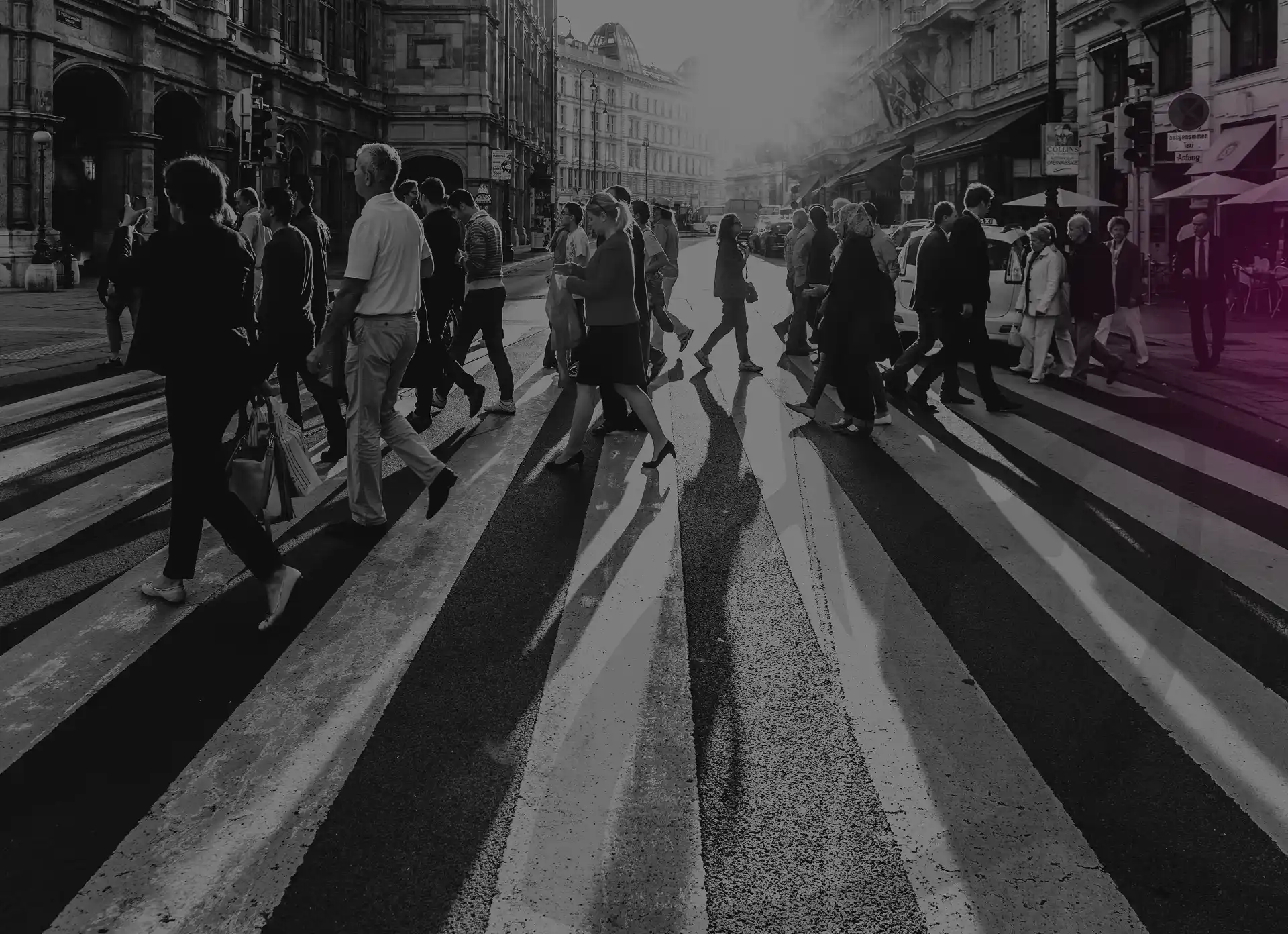 Walking with Wisdom